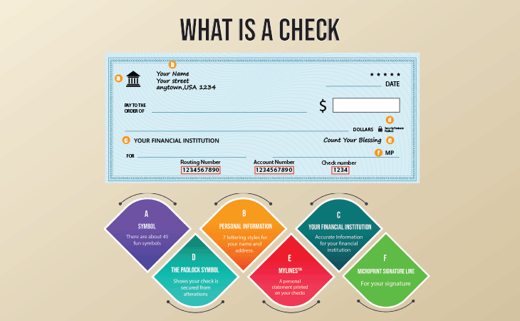anatomy of checks
