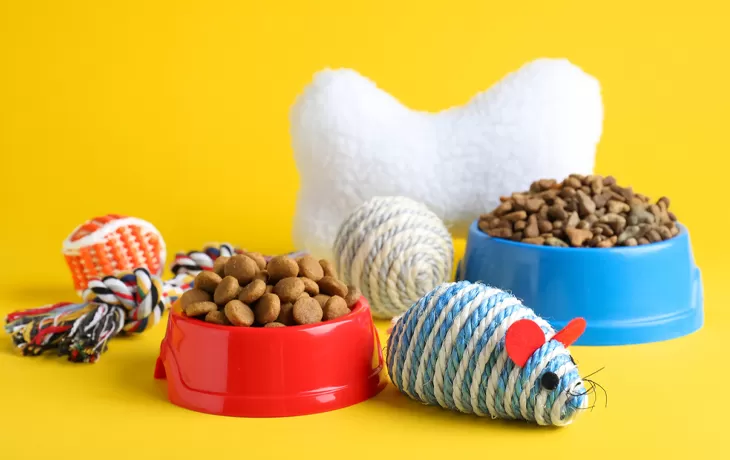 Affordable Pet Essentials Simplified Care for Furry Companions