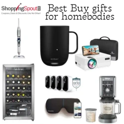 Best Buy Gifts for Homebodies