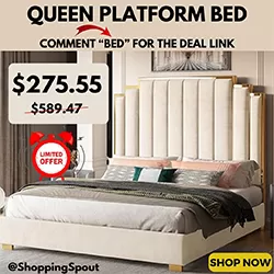 Snooze You Lose! Up to 55% off Queen Platform Bed