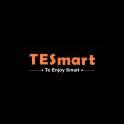 TESmart