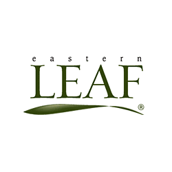 Eastern Leaf